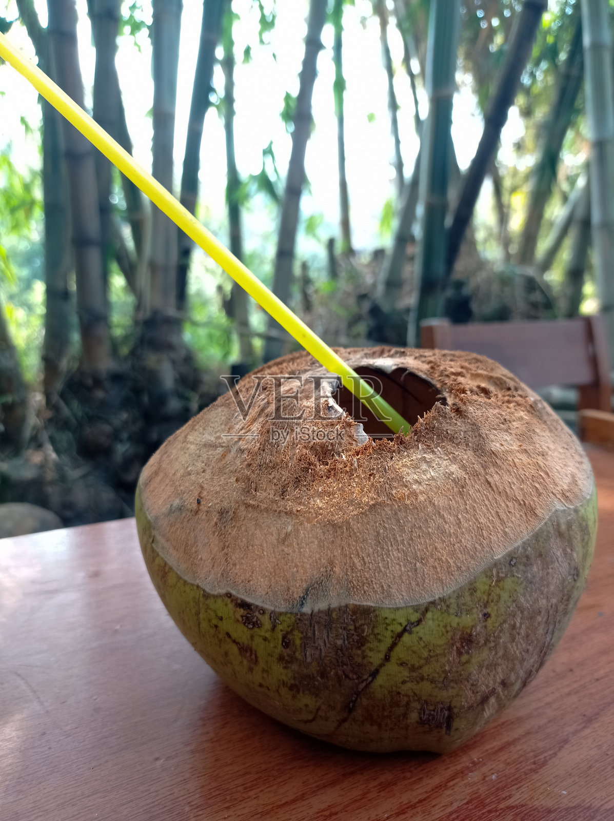 年轻的椰子照片摄影图片