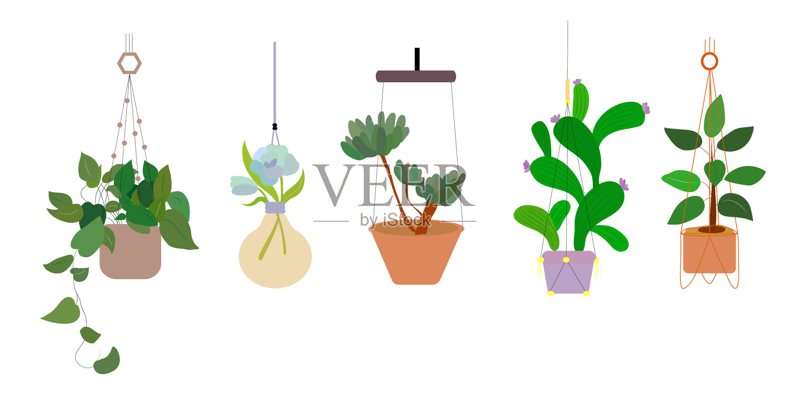 花盆中的家庭植物插画图片素材