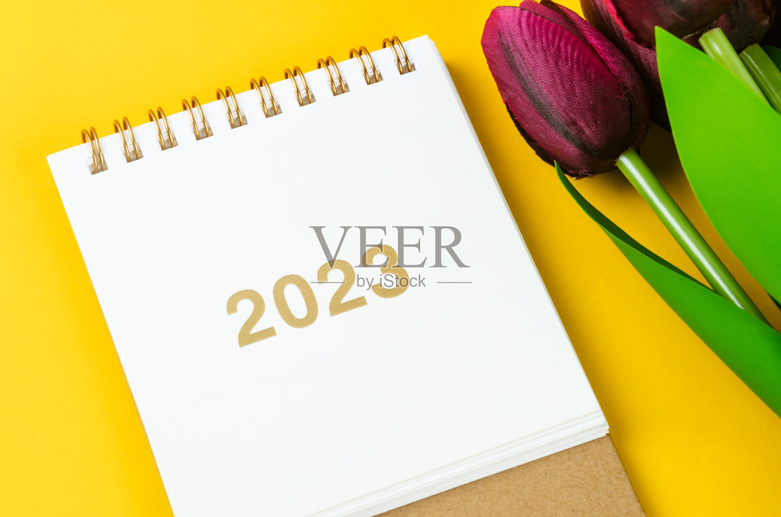 2023年黄色背景花台历。照片摄影图片
