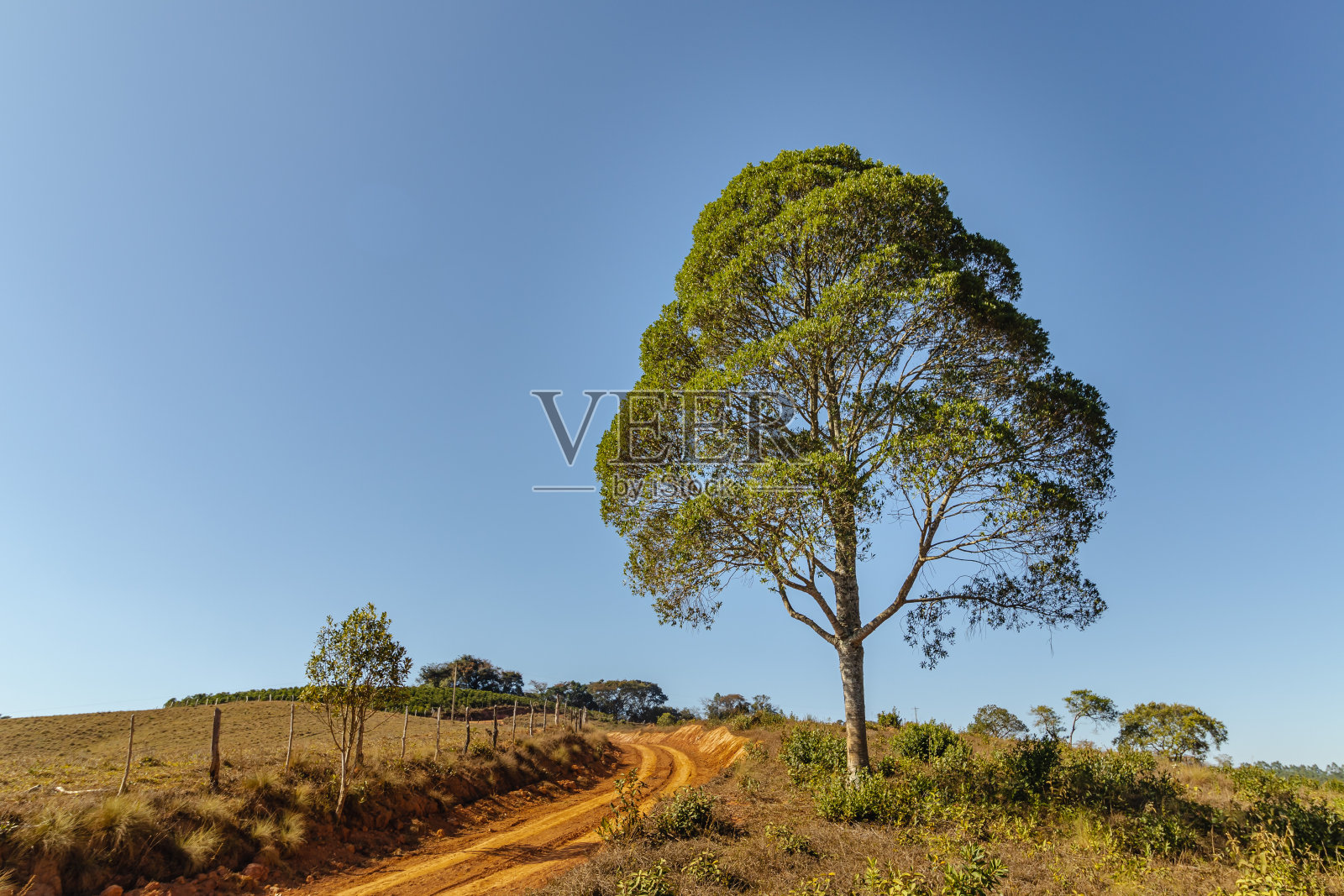 圣多美达勒特拉斯的自然景观照片摄影图片