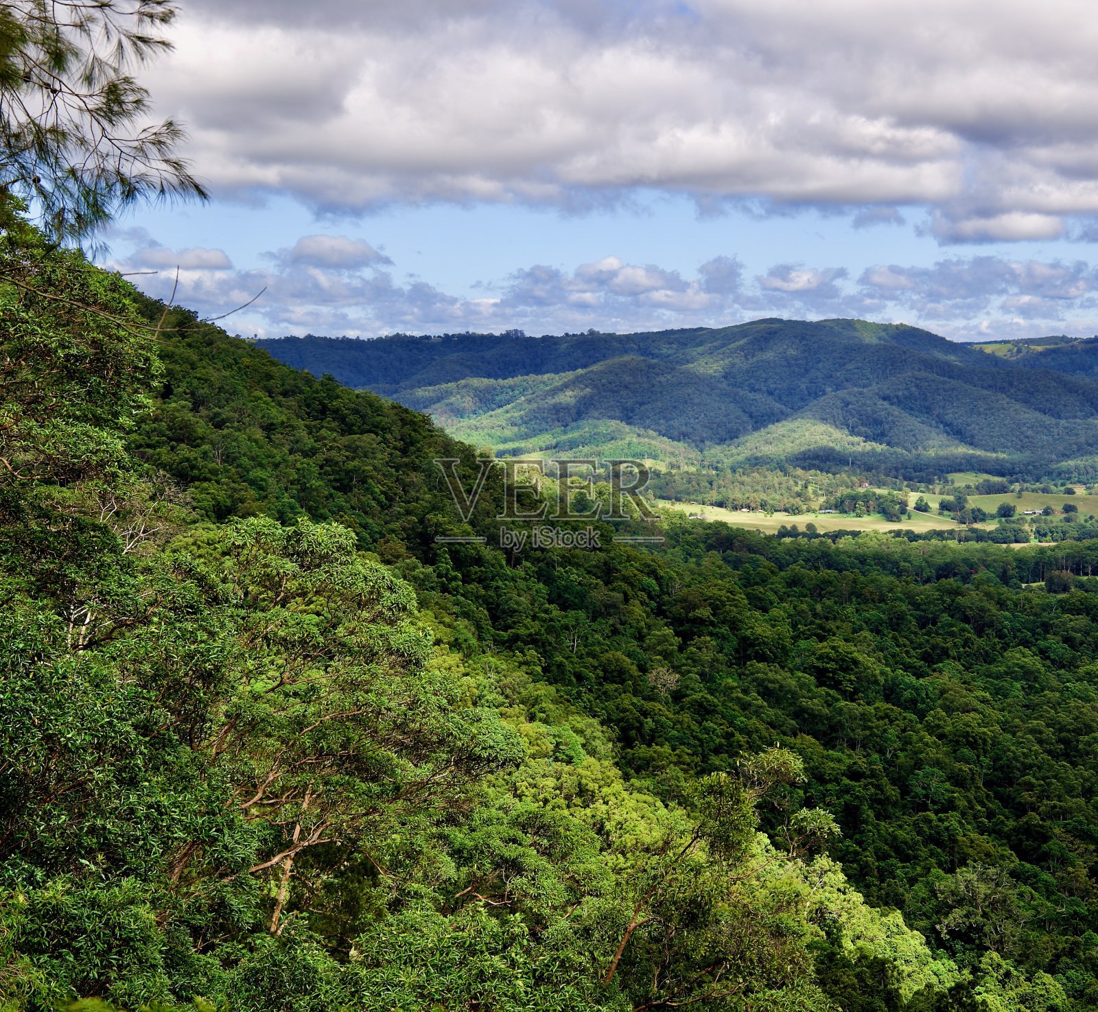绵延的山坡，奥比奥比山谷，阳光海岸，昆士兰照片摄影图片
