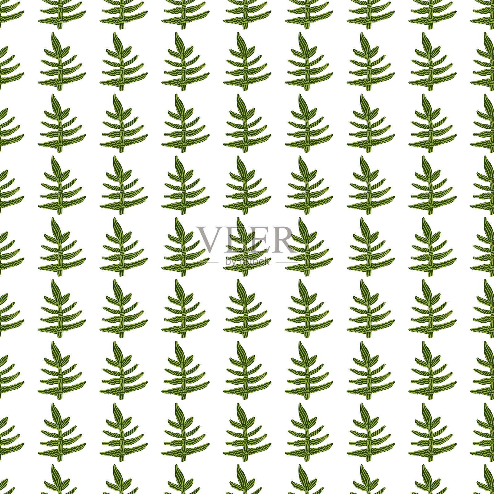 无缝图案与奇怪的热带树叶插画图片素材