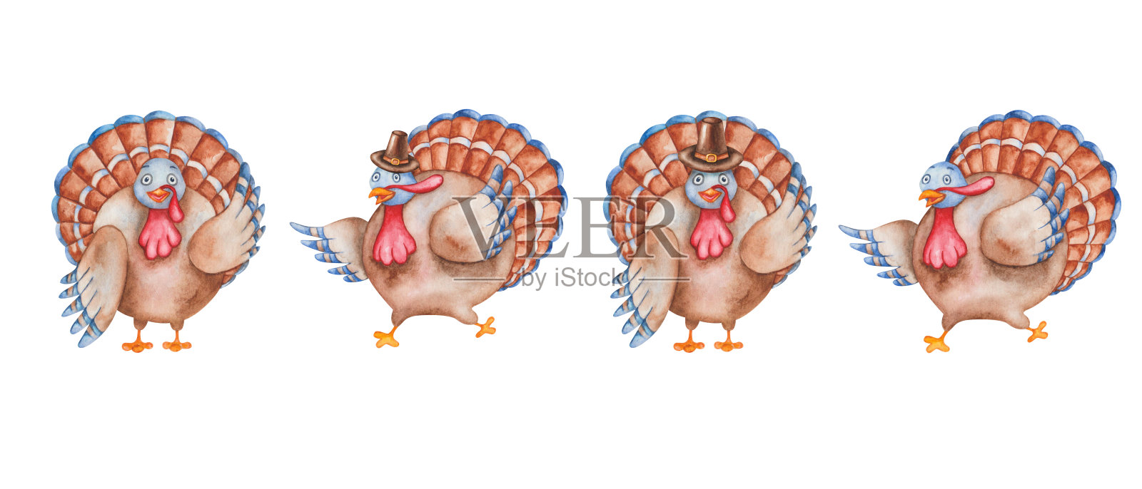 手绘水彩插图火鸡鸟在朝圣者的帽子与棕色，蓝色的羽毛，翅膀。卡通动物的性格。孤立的白色剪贴画，海报，感恩节卡片插画图片素材
