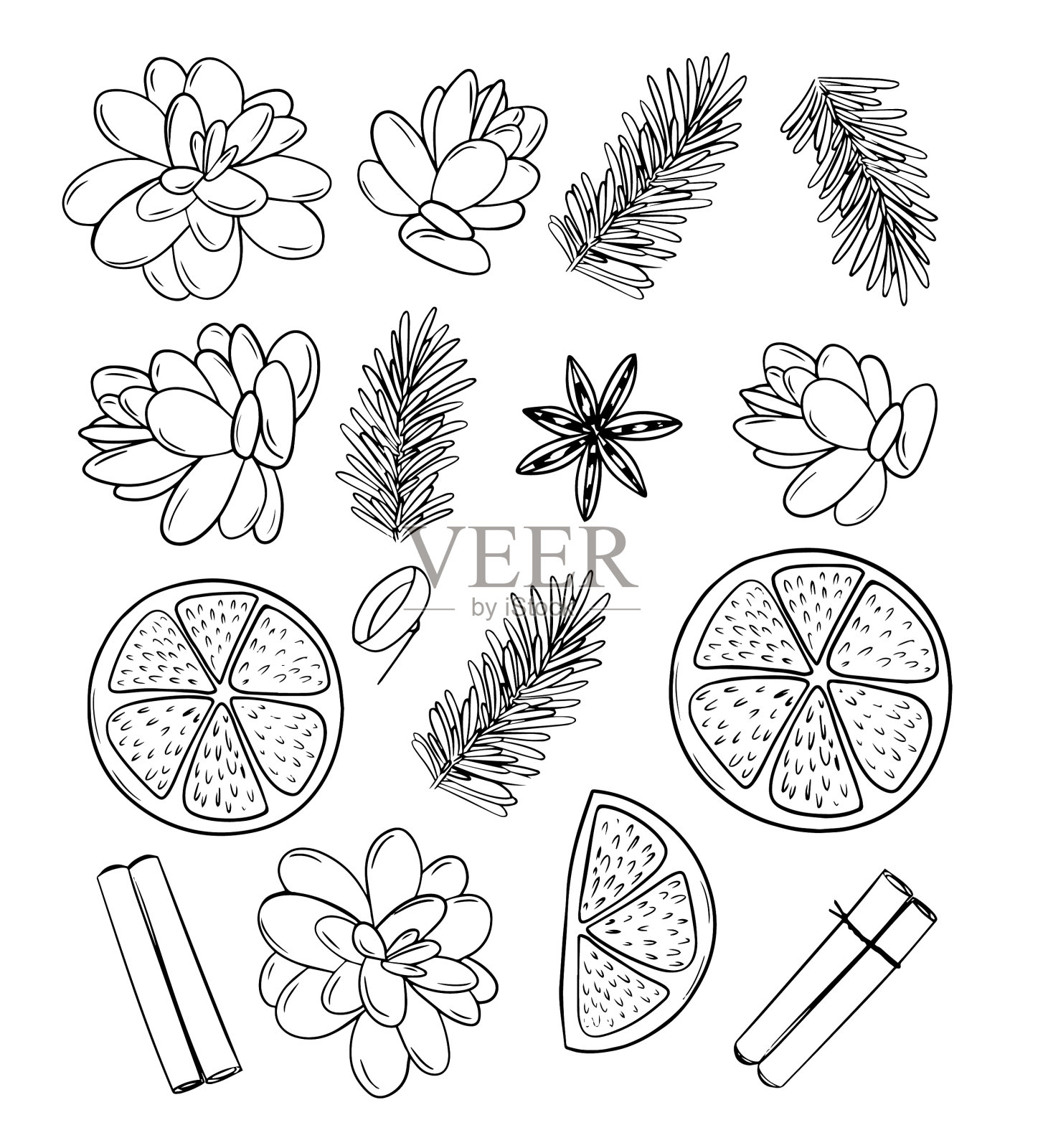 新年收集松果图形杉木细枝插画图片素材