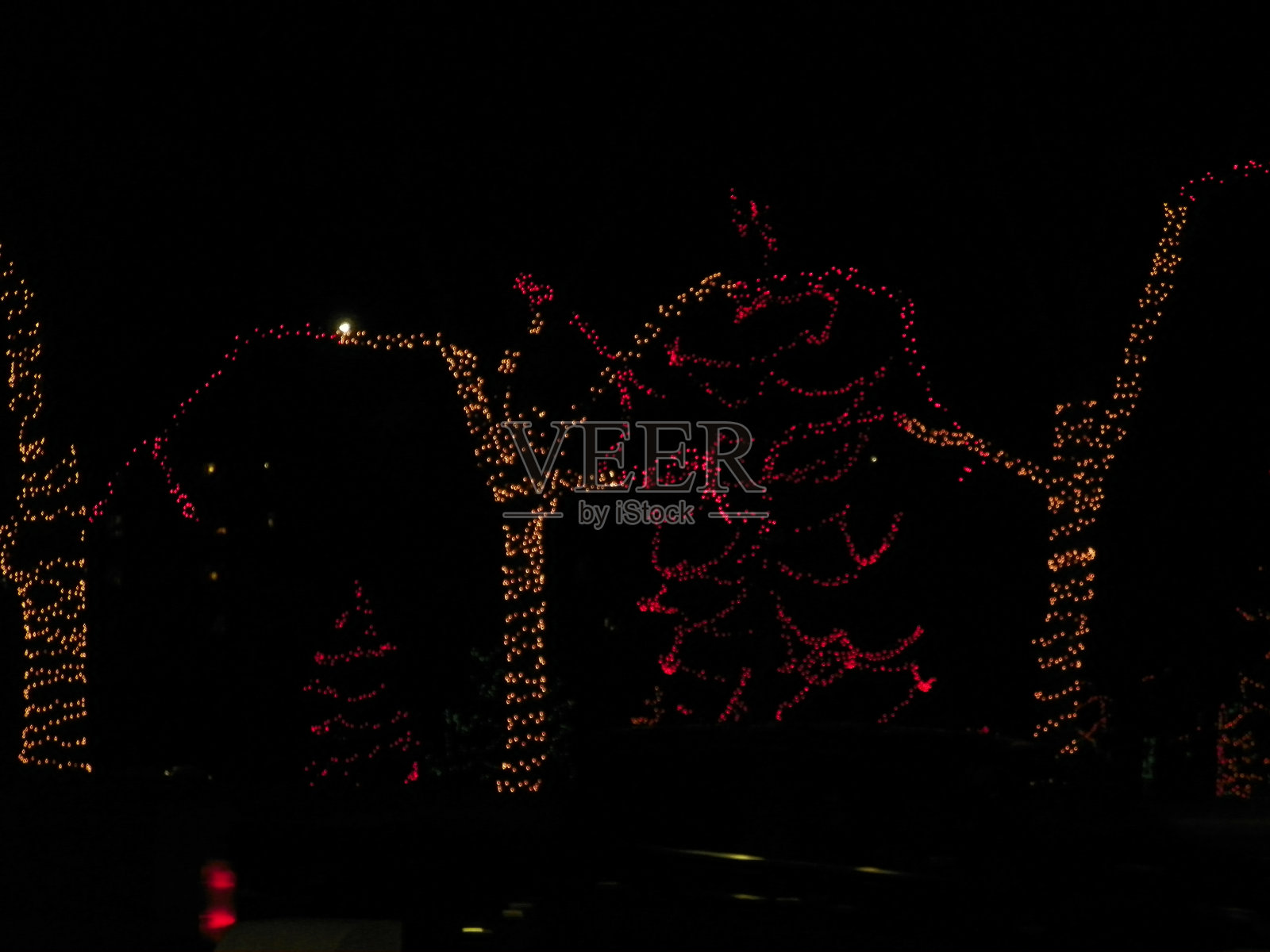 圣诞树外照片摄影图片