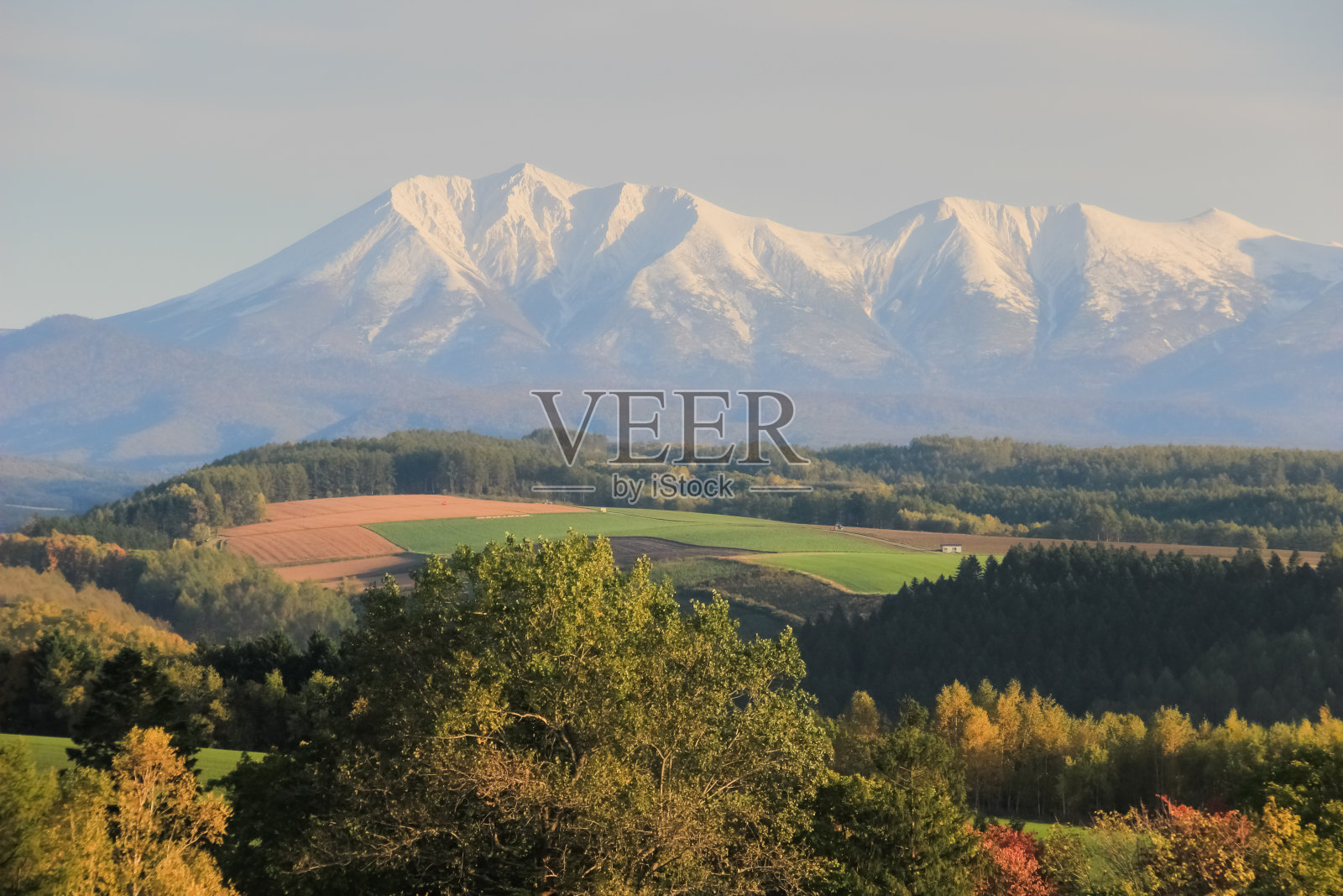 秋天的丘陵农田和雪山照片摄影图片