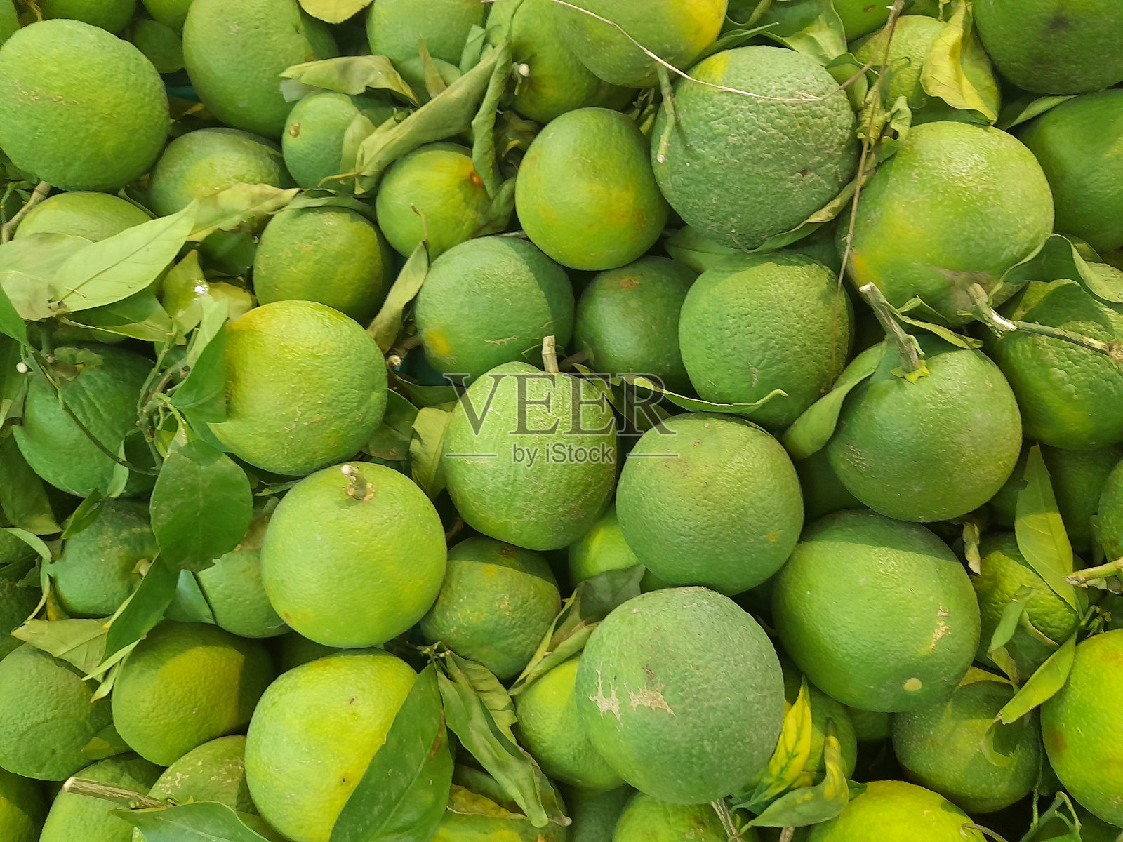 葡萄柚汁照片摄影图片