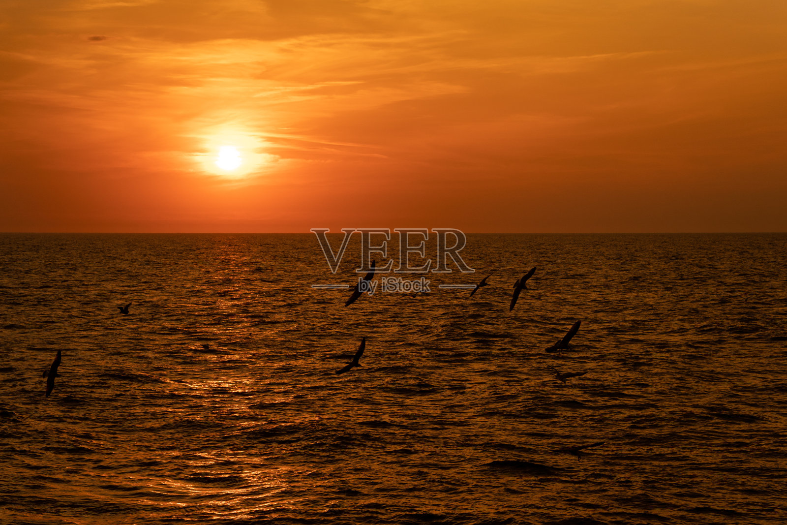 海边的日落照片摄影图片