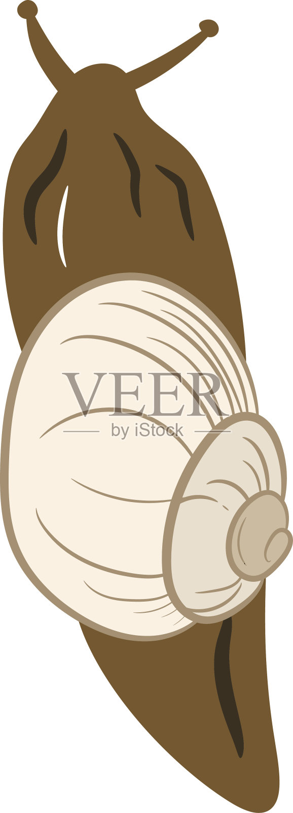 蜗牛插画图片素材