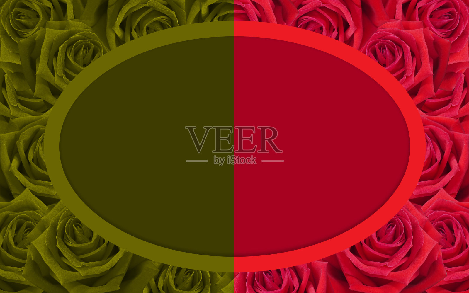 半红和黄色椭圆框架上的一半红和黄玫瑰背景，卡，名片，旗帜，模板，复制空间照片摄影图片