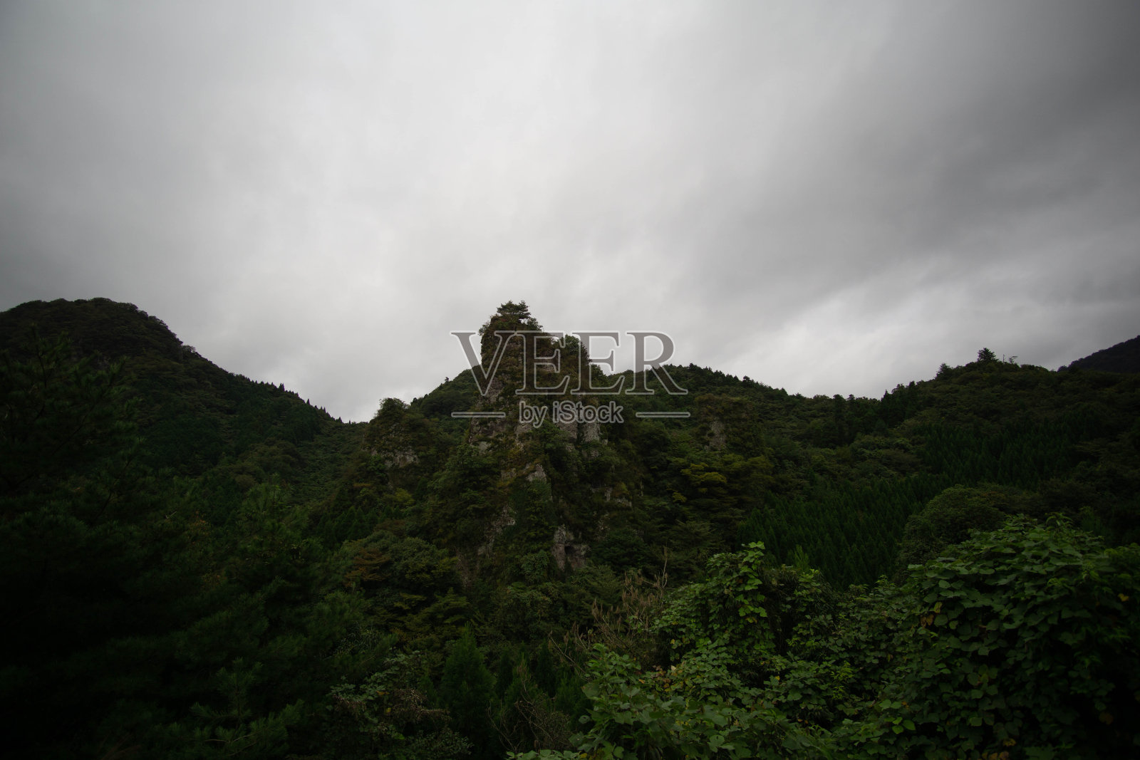 大分县的美景照片摄影图片