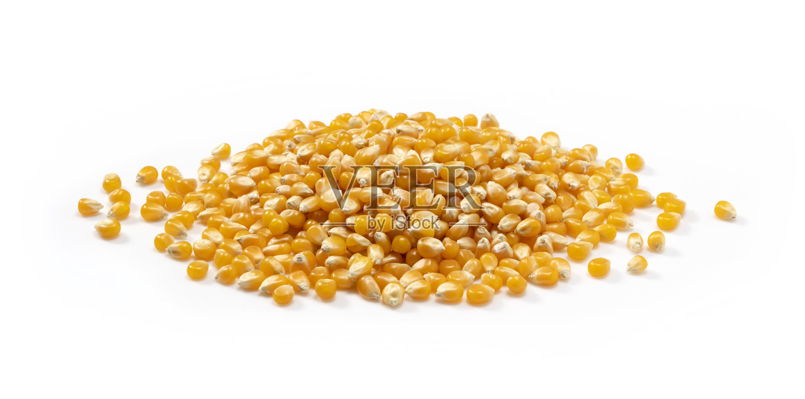 放在白色背景上的干玉米粒照片摄影图片