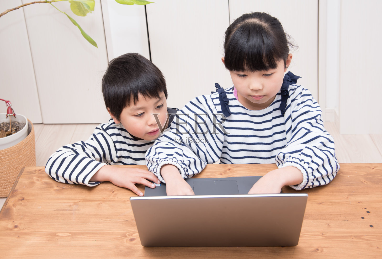 日本孩子在家里学习电脑照片摄影图片