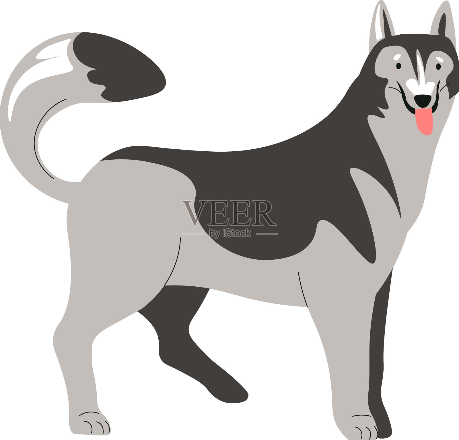 哈士奇犬动物幼犬或成年狗肖像设计元素图片