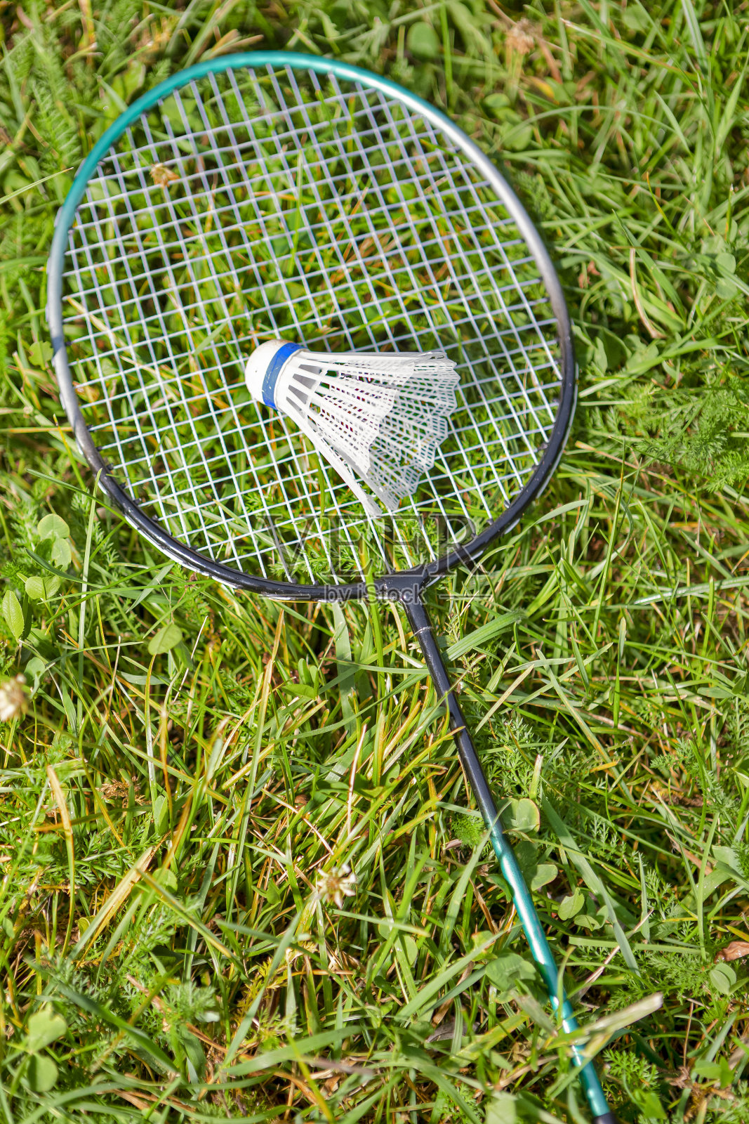 草坪上放一个羽毛球和碳羽毛球拍照片摄影图片