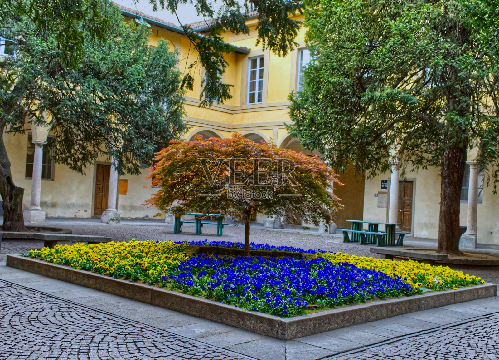 帕维亚大学花园照片摄影图片
