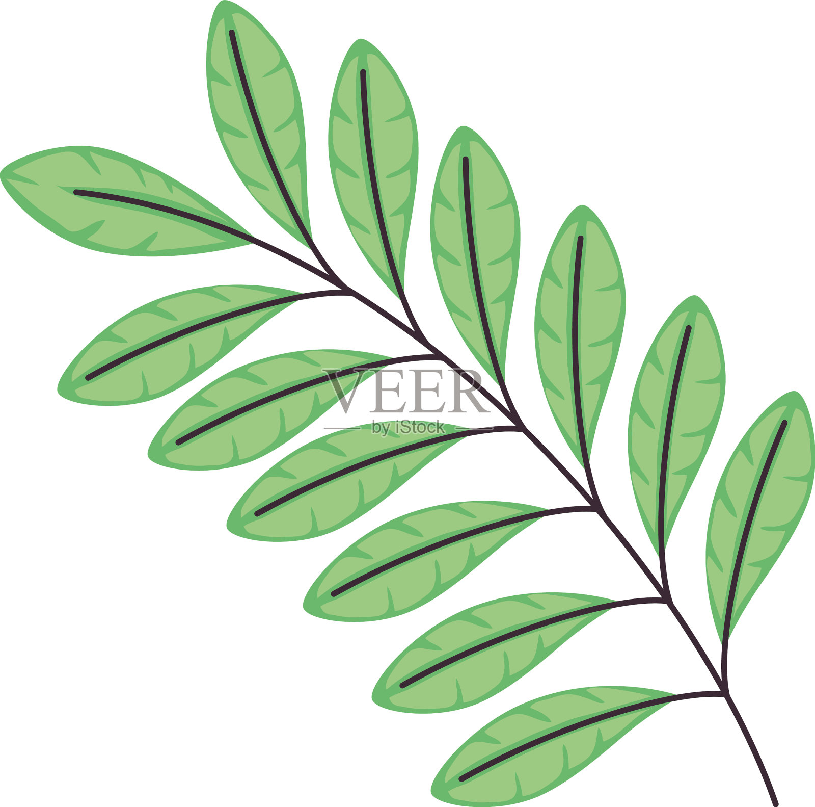有绿色叶子的树枝设计元素图片