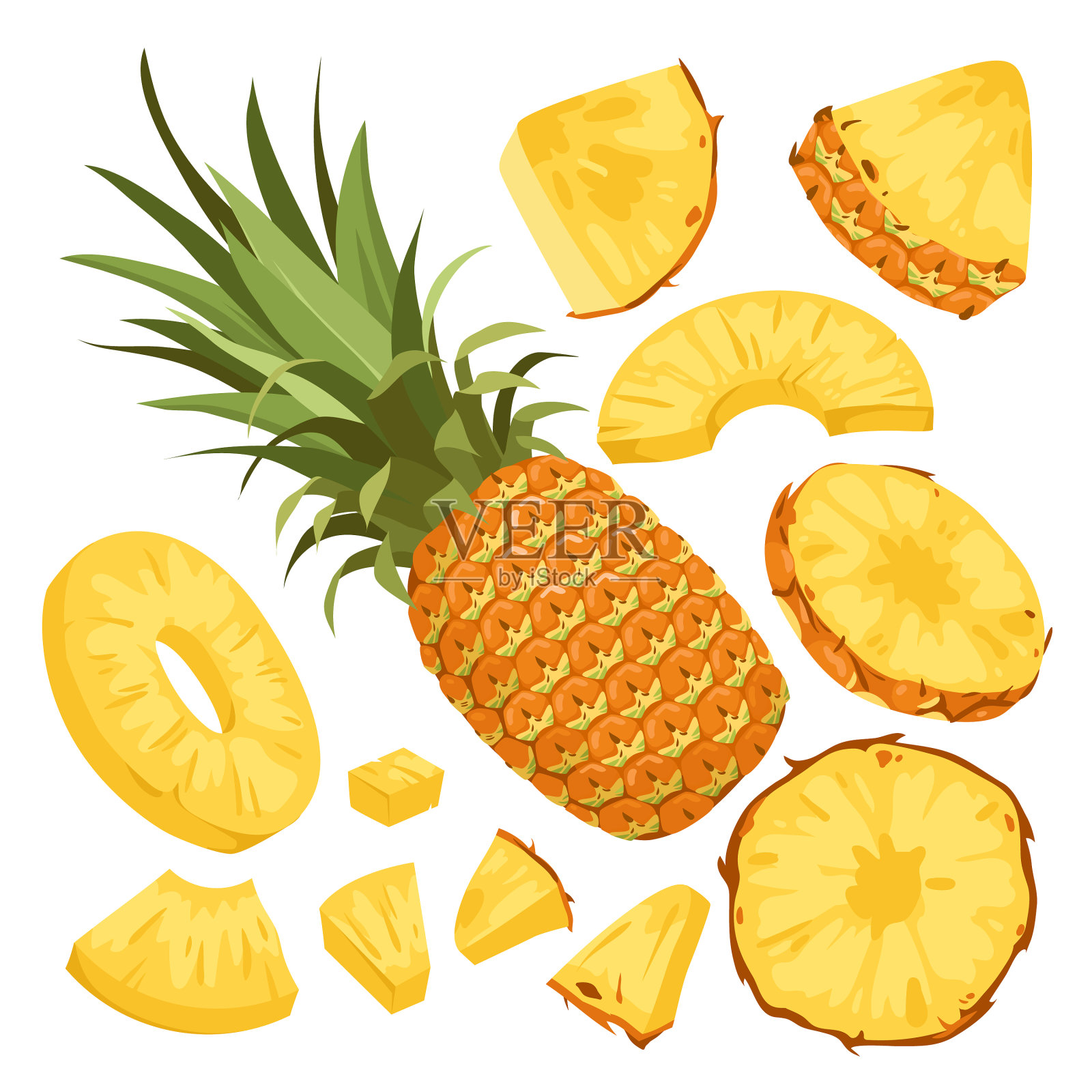 新鲜菠萝固定分离整个水果与设计元素图片