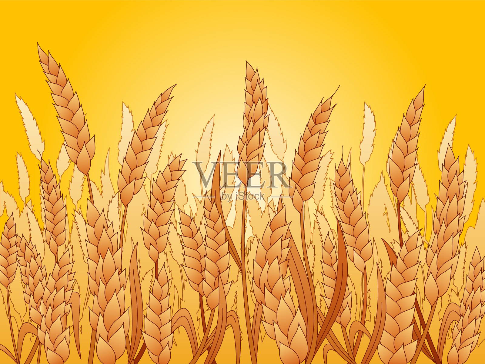 平地上的麦田插画图片素材