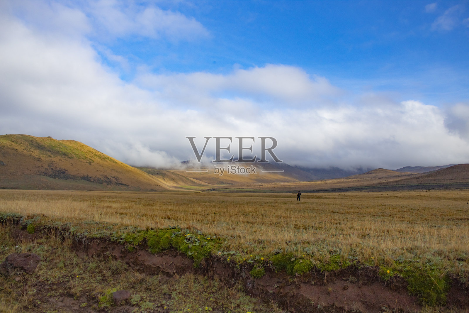 新的开始照片摄影图片