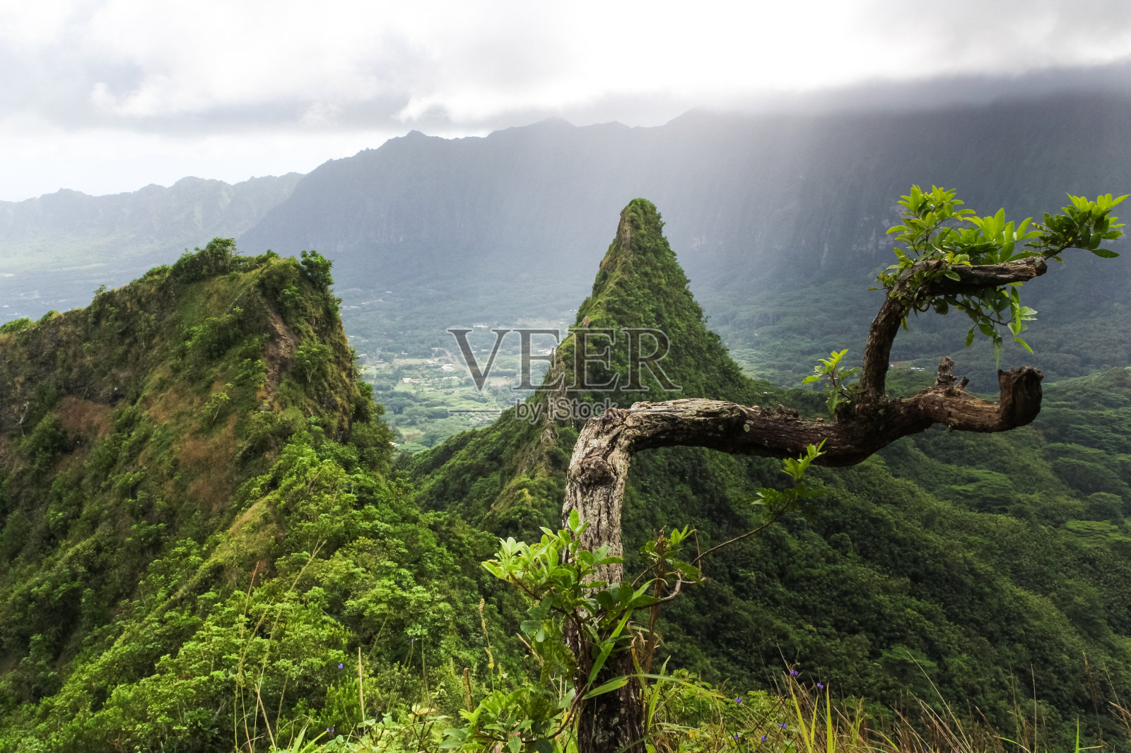 夏威夷聚光灯下的山峰照片摄影图片