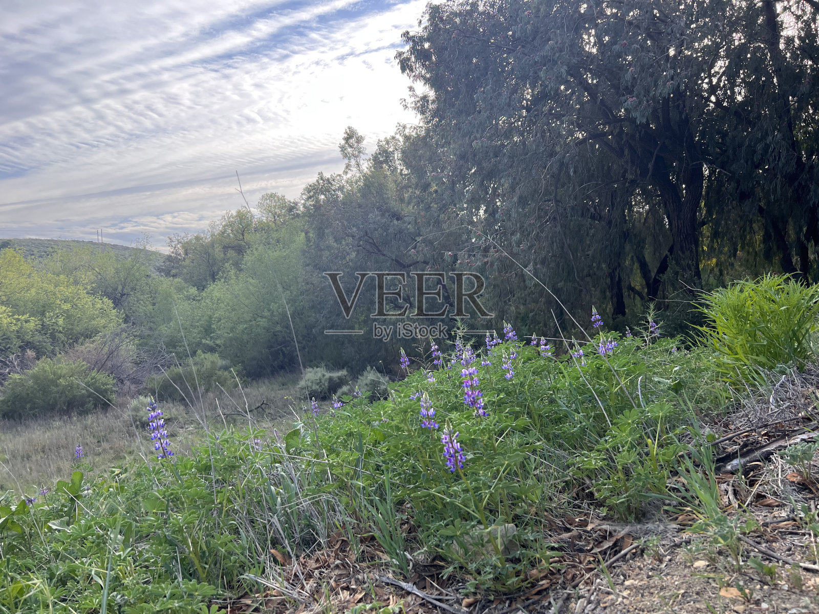 少走过的路径照片摄影图片