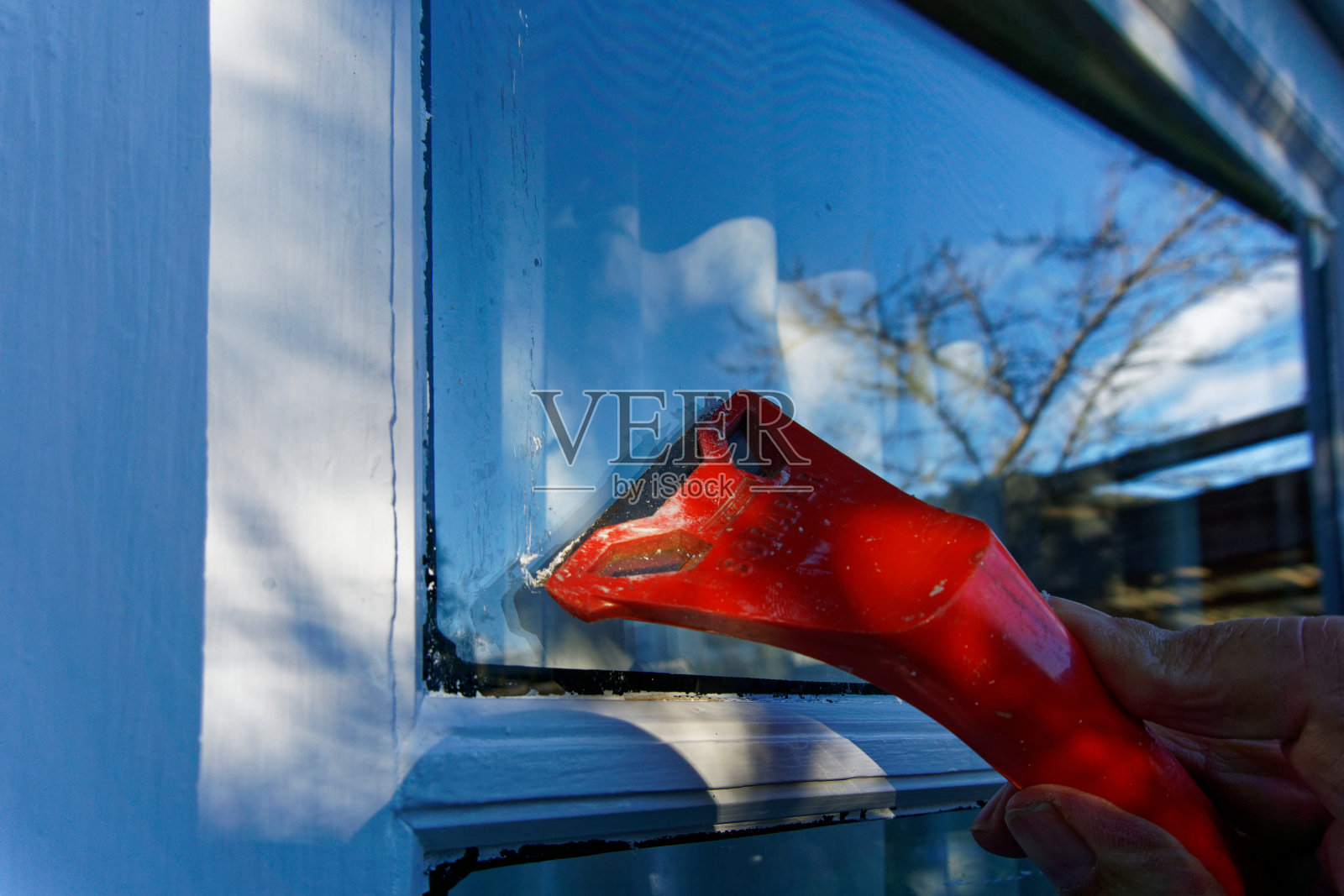 刮掉玻璃窗上的油漆，翻新木制的新西兰别墅或平房。Aotearoa /新西兰。照片摄影图片