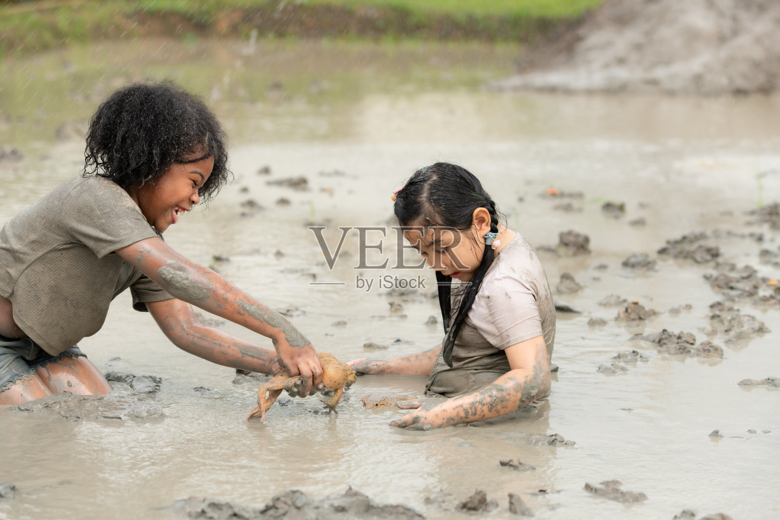 孩子们在社区田地里玩泥巴，在泥泞的田地里抓青蛙，玩得很开心。照片摄影图片