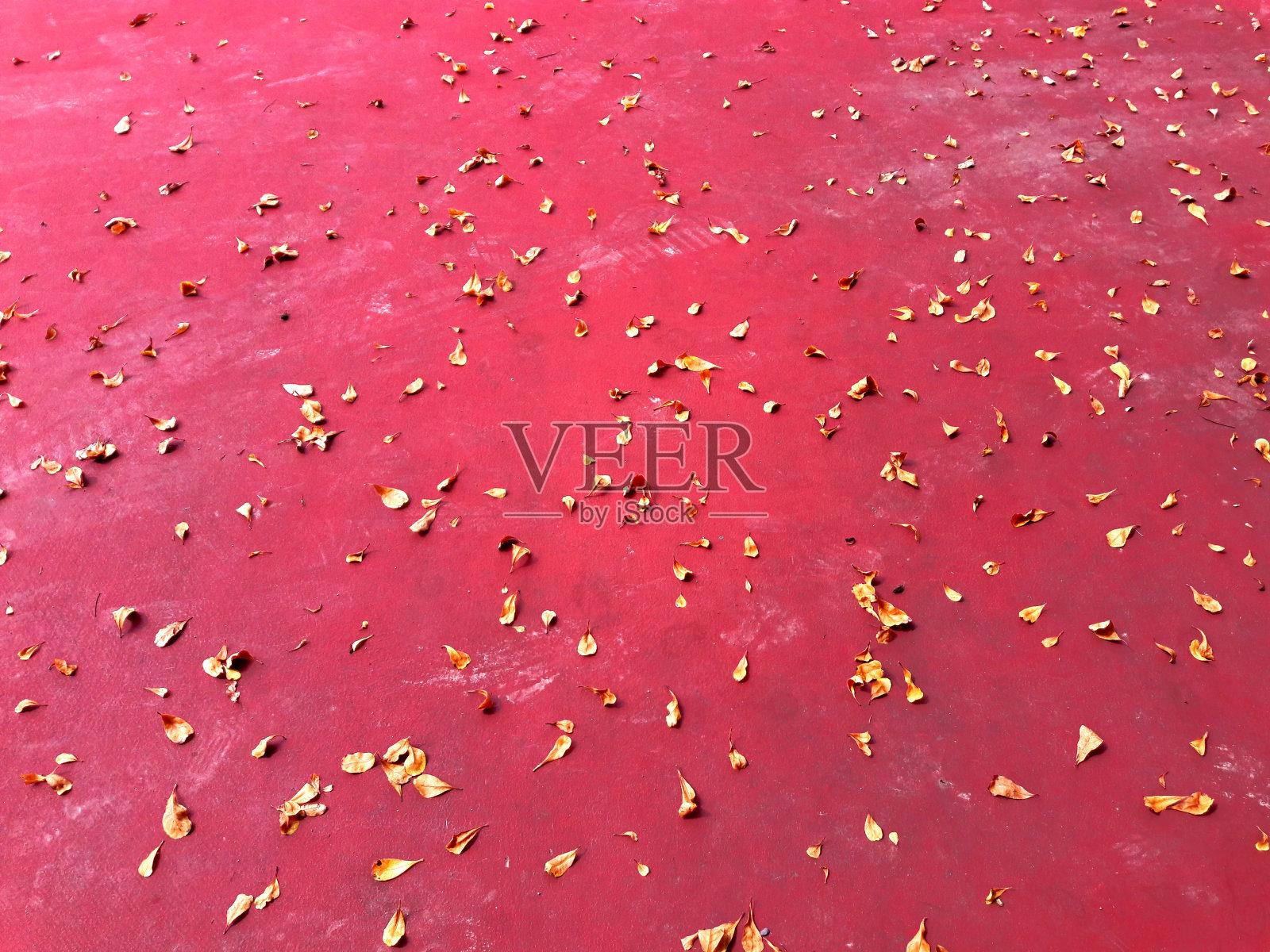黄叶落在红色的地上。落叶特写。照片摄影图片
