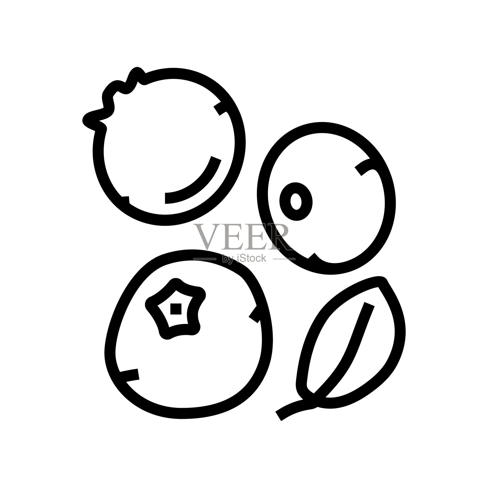 蓝莓蓝莓线图标矢量插图插画图片素材