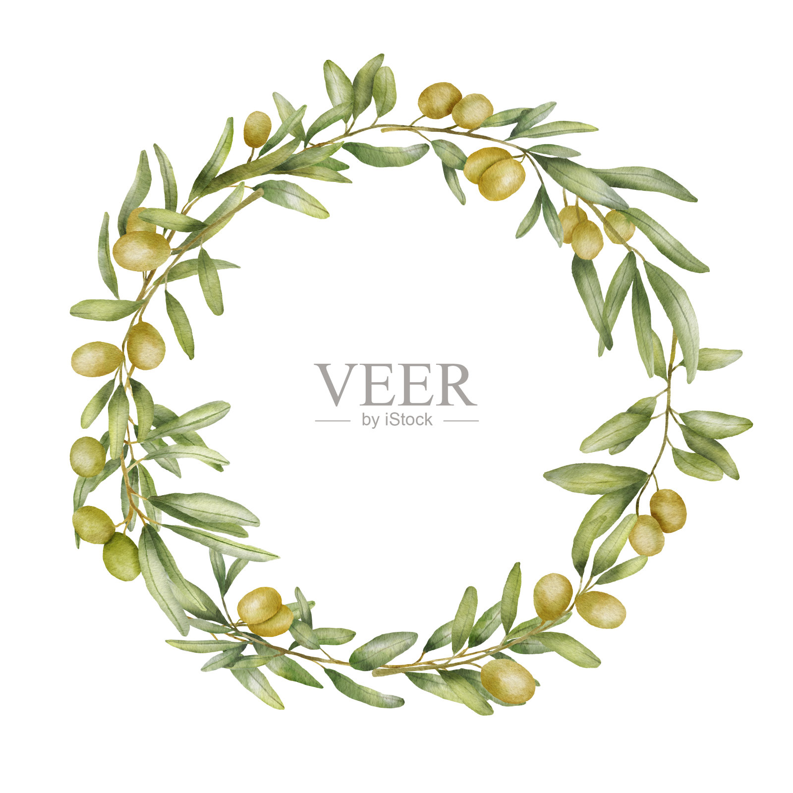 圆形花环与橄榄枝水彩画。手绘框架与橄榄叶孤立的白色背景。地中海美食插画图片素材