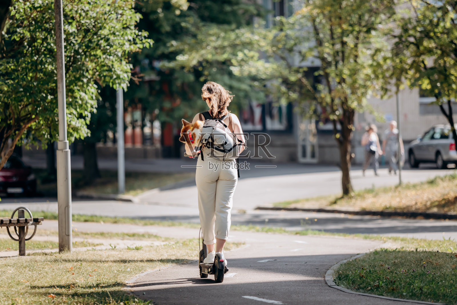 快乐微笑的女子旅行者骑着她的电动滑板车在城市公园与狗威尔士柯基彭布罗克在一个特殊的背包照片摄影图片