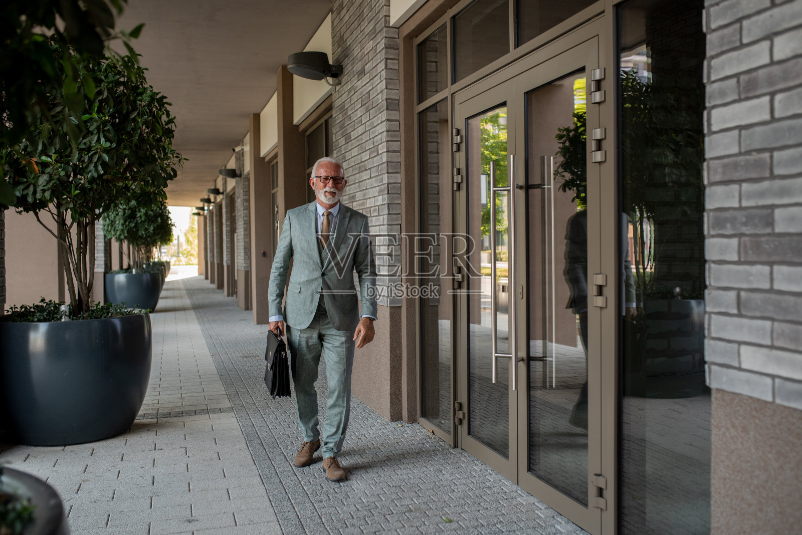 一位高级CEO的画像照片摄影图片