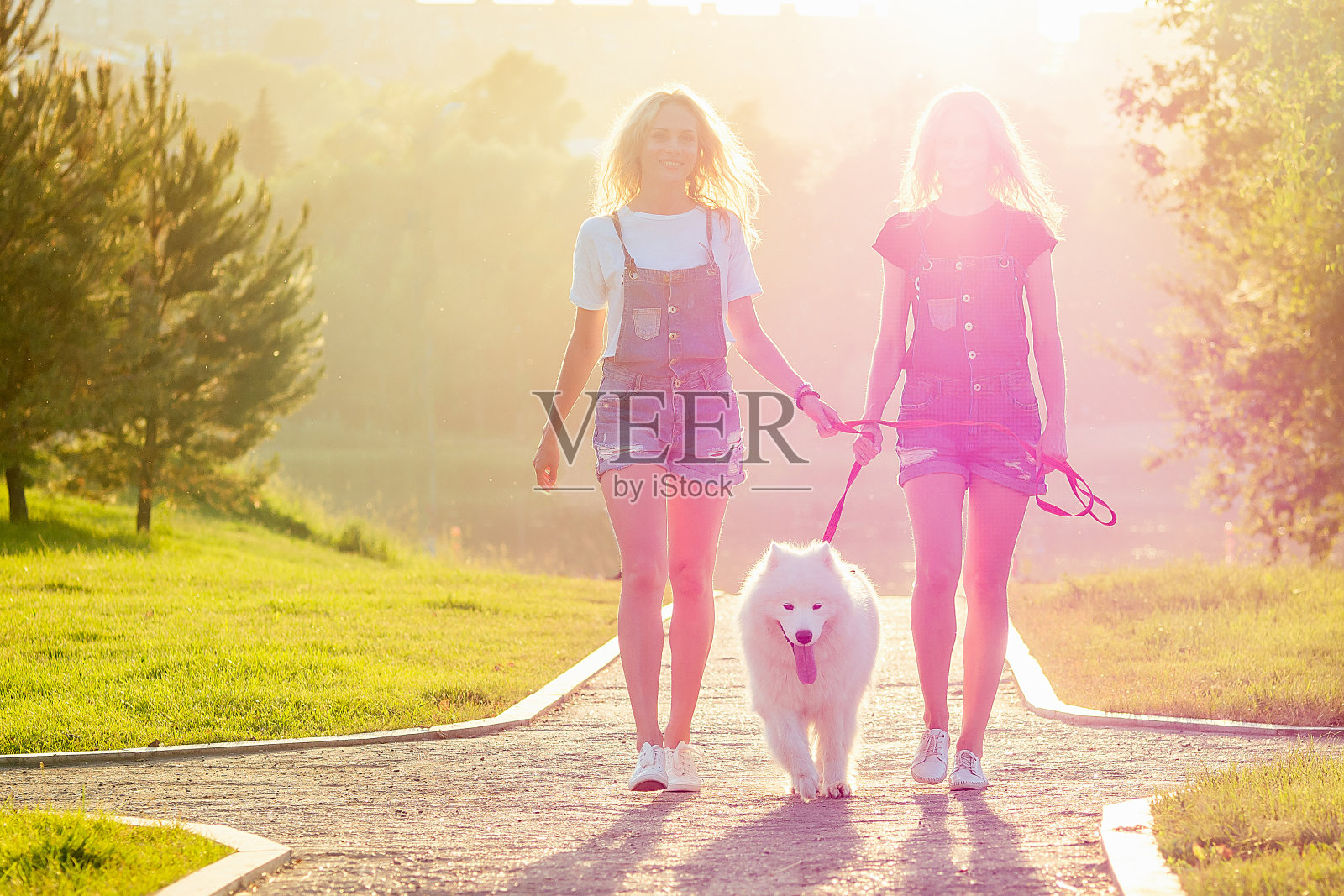 两个美丽迷人的金发双胞胎女人穿着牛仔工装裤在公园里和一只白色毛茸茸的萨摩耶狗散步照片摄影图片