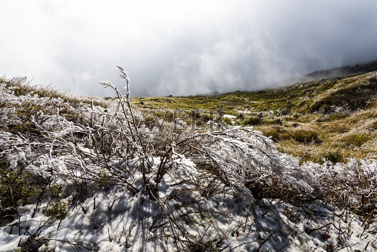 台湾南头合欢山森林游乐区的雪景。照片摄影图片