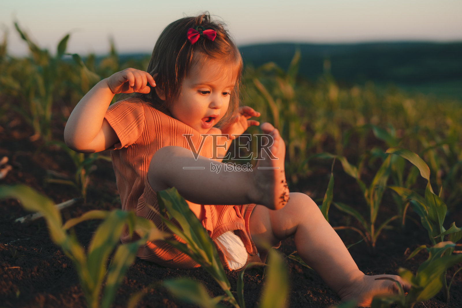 阳光明媚的日子里，快乐的小女婴坐在绿色的玉米地里玩耍。春天,夏天的花园。夏天自然景观。国家环境。年轻漂亮的女孩。照片摄影图片