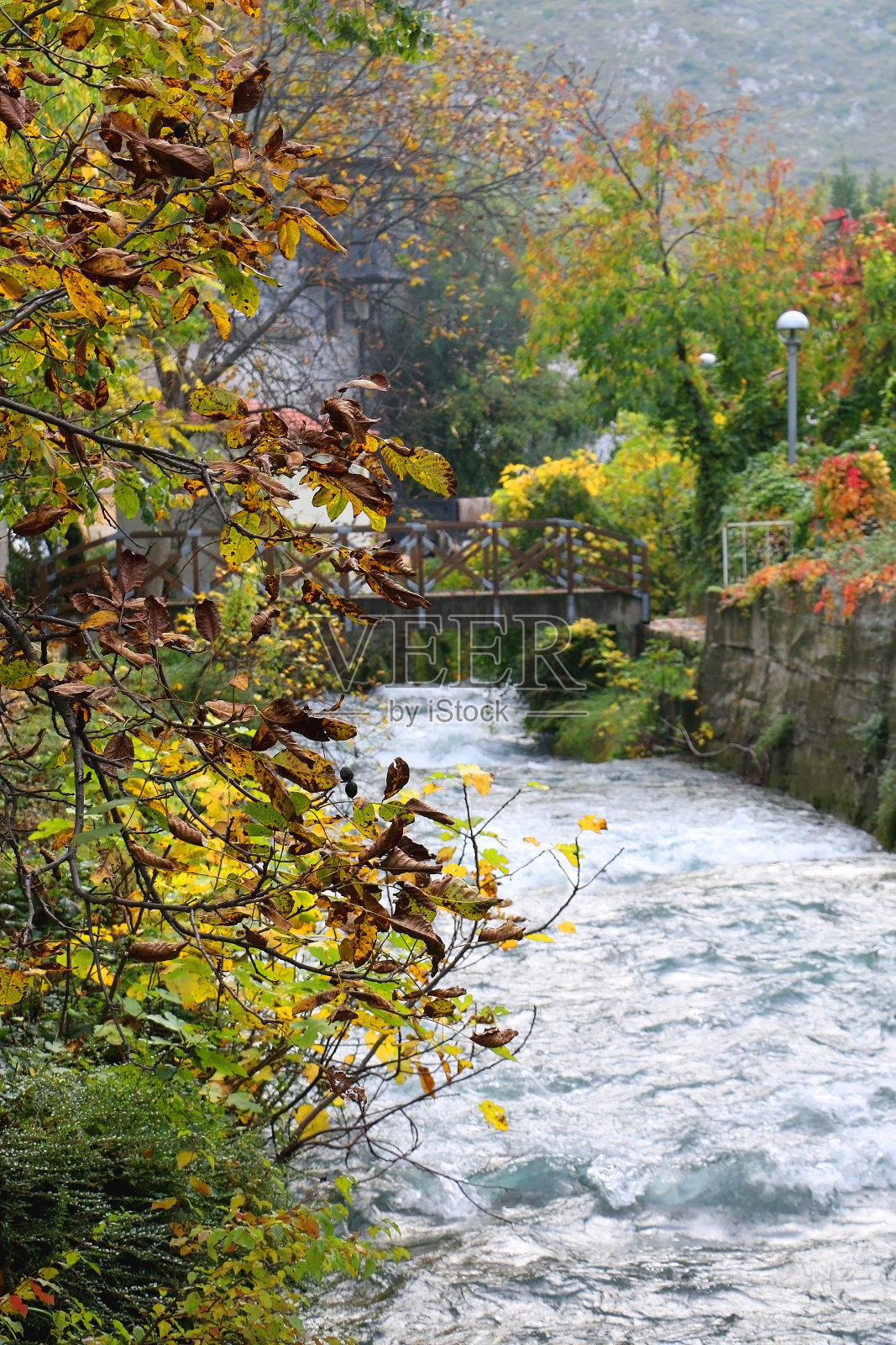 秋叶与乡村桥照片摄影图片