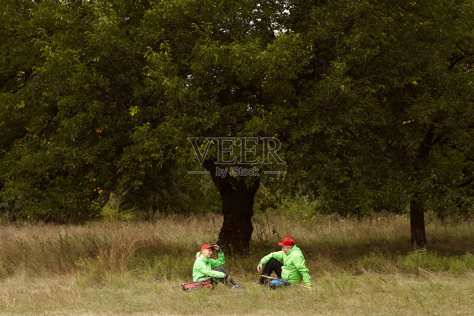 生活方式的肖像快乐的女人和男人在运动制服徒步，休息在秋天的森林在阳光灿烂的日子，户外。斯堪的纳维亚式步行，健康的生活方式照片摄影图片
