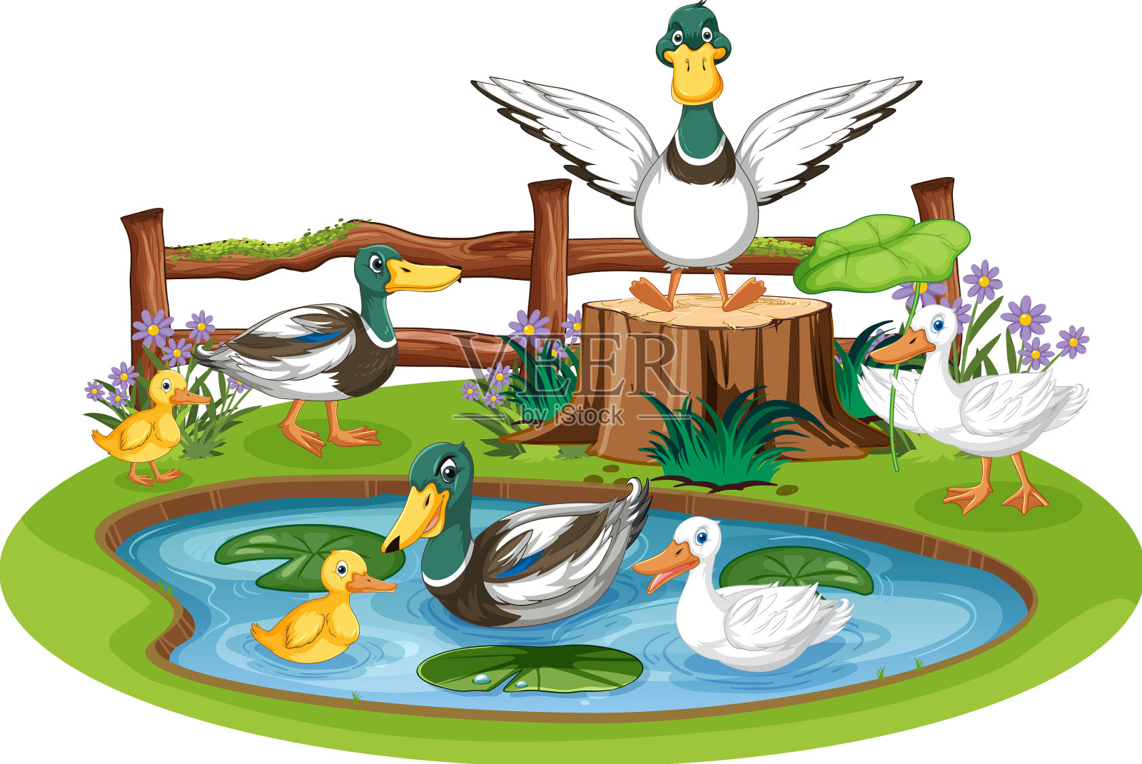 池塘里的鸭子一家插画图片素材