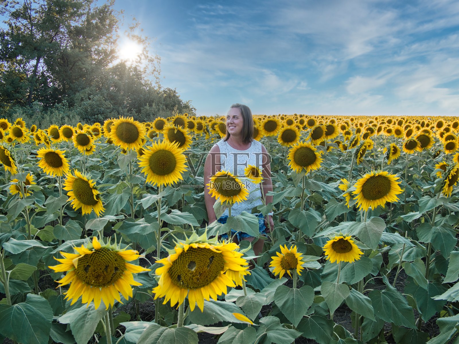 站在堪萨斯州向日葵田里的女人照片摄影图片