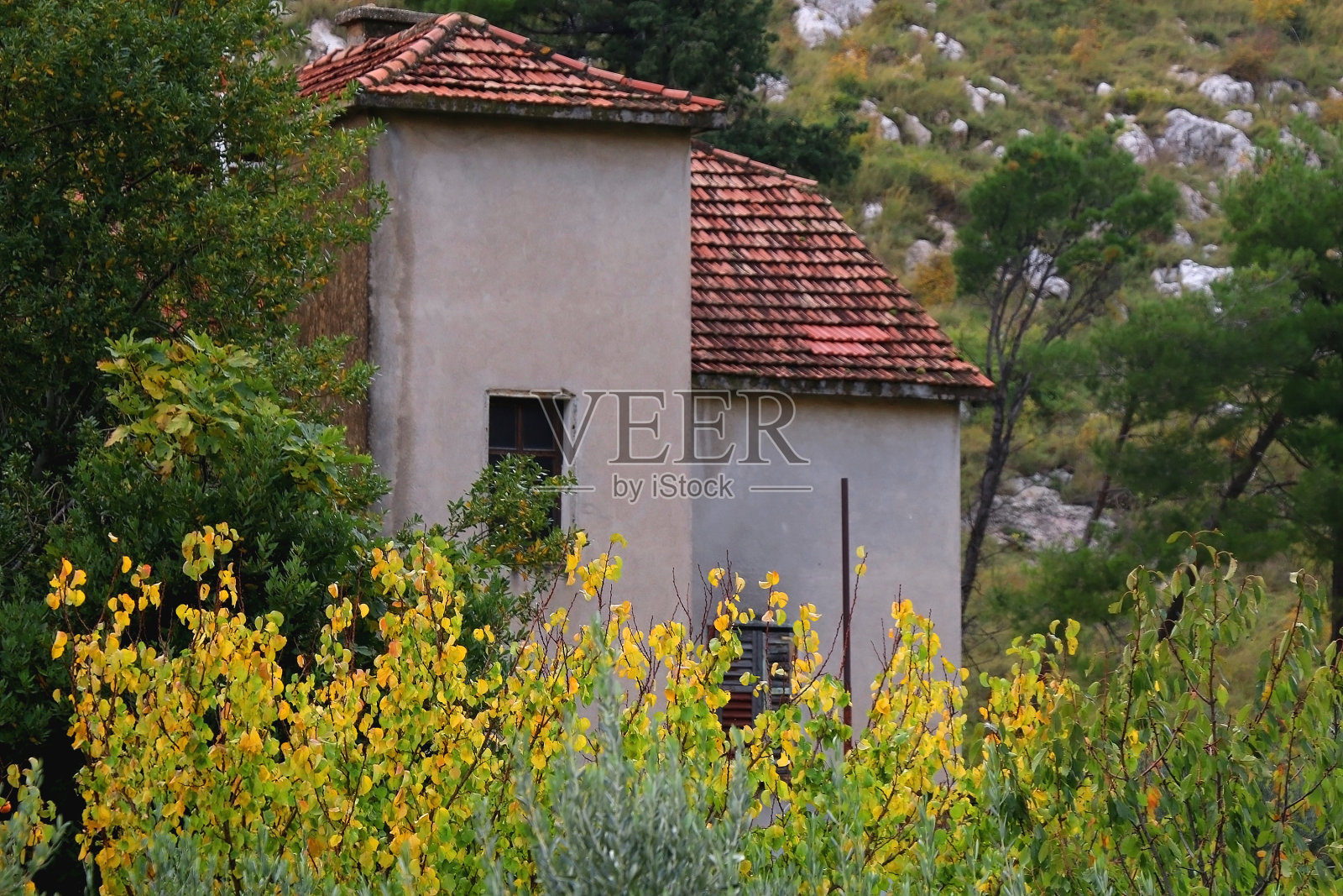 秋叶和老房子照片摄影图片