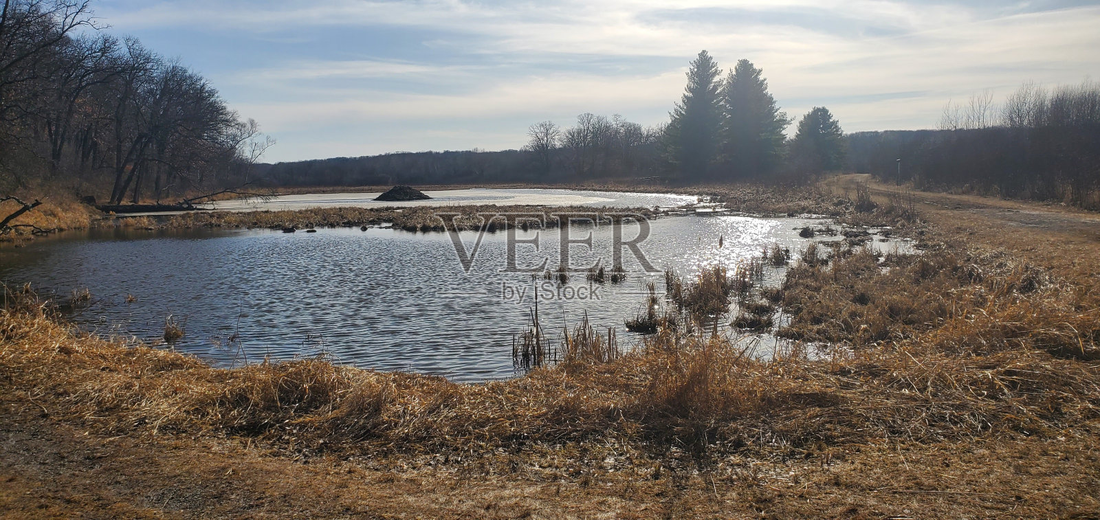 有比弗水坝的湖，明尼苏达州照片摄影图片