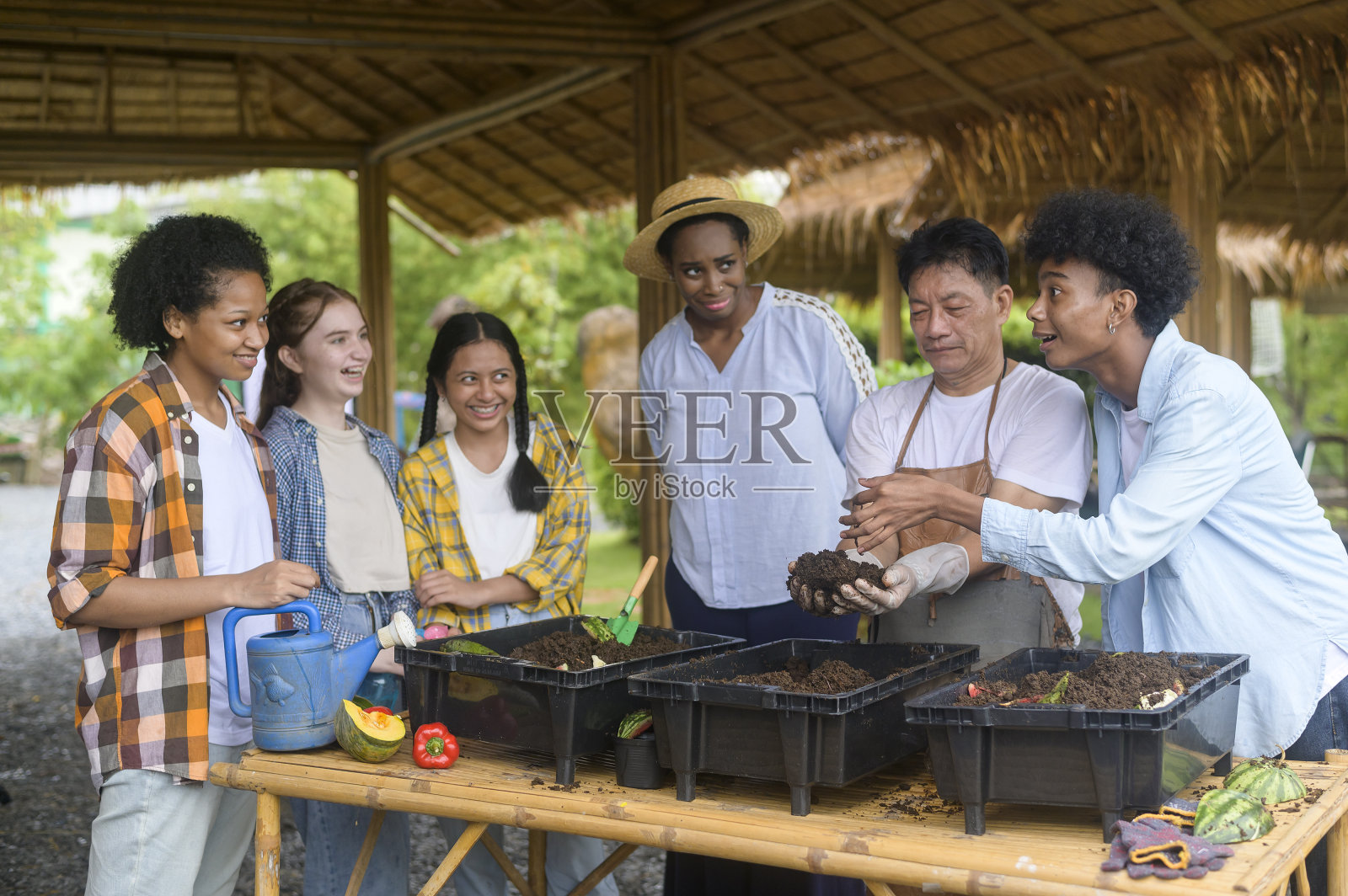 一批混合种族的学生和教师学习农业技术在智慧农业，教育生态农业理念。照片摄影图片