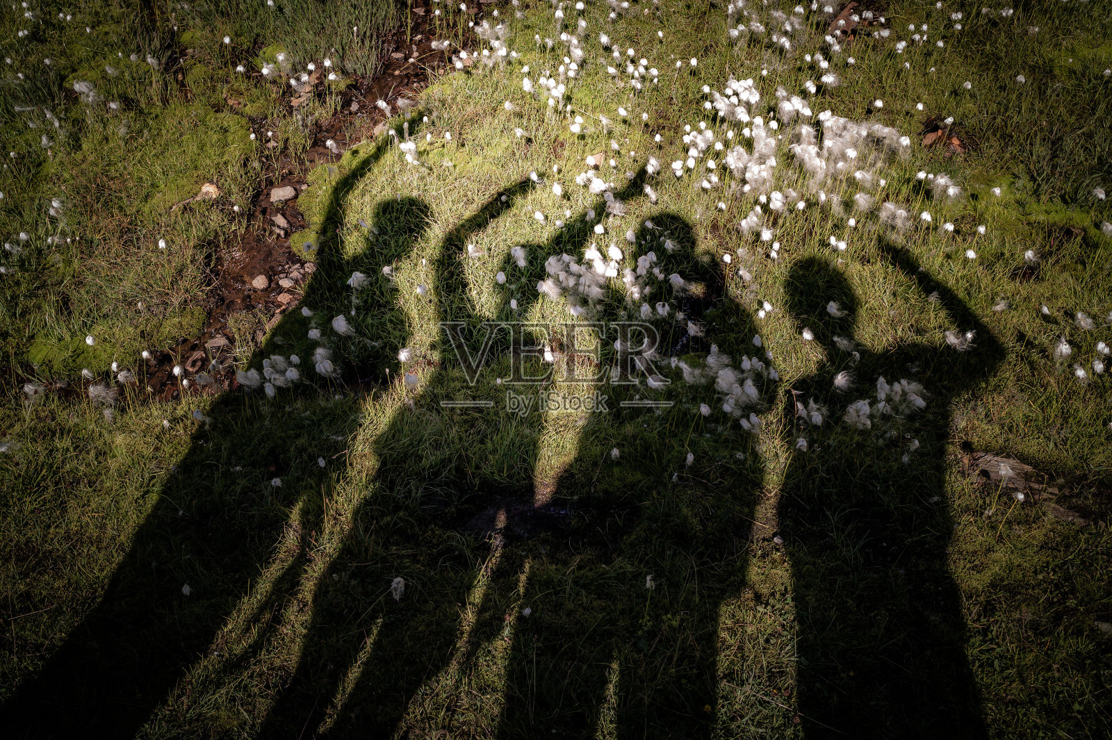 站在草地上的人的低处照片摄影图片