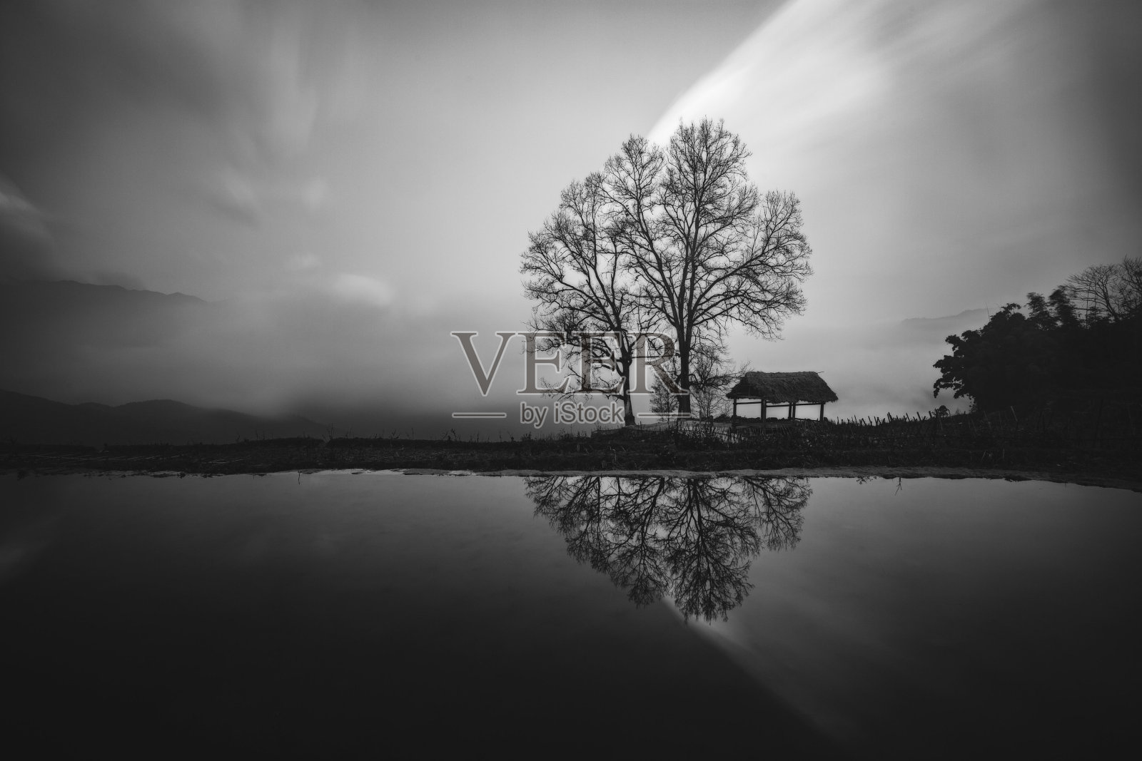 冬天的川安村有着黑白相间的色彩，倒影着双生树照片摄影图片