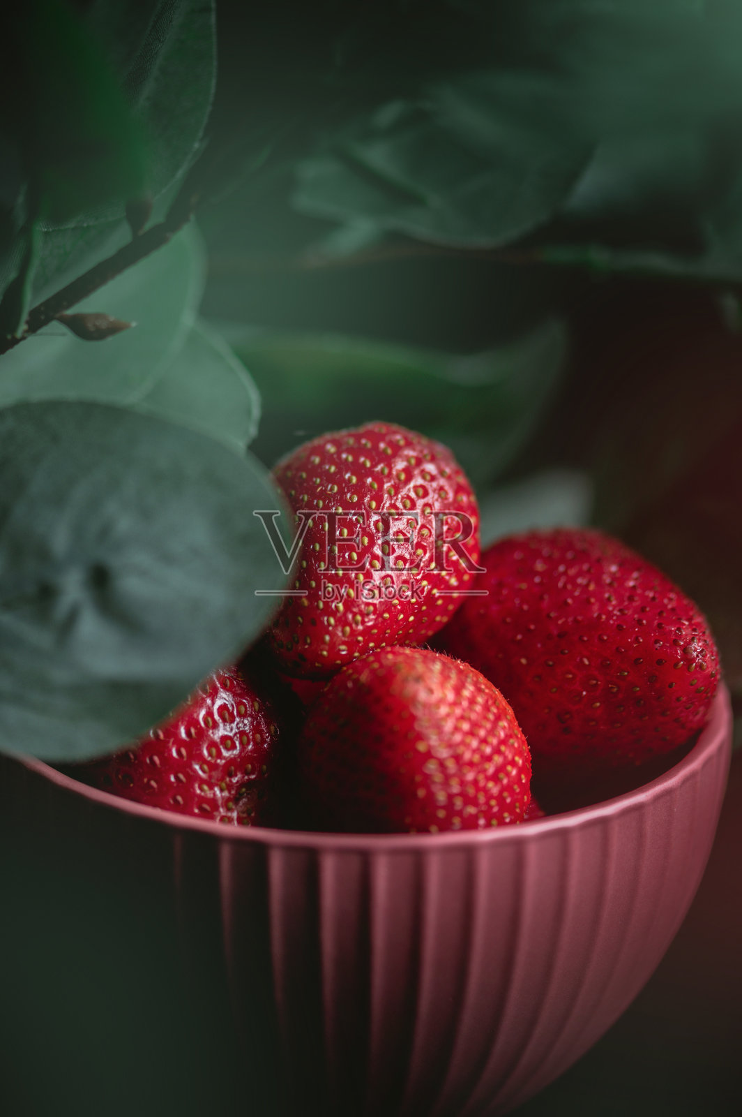 碗里有新鲜的草莓照片摄影图片