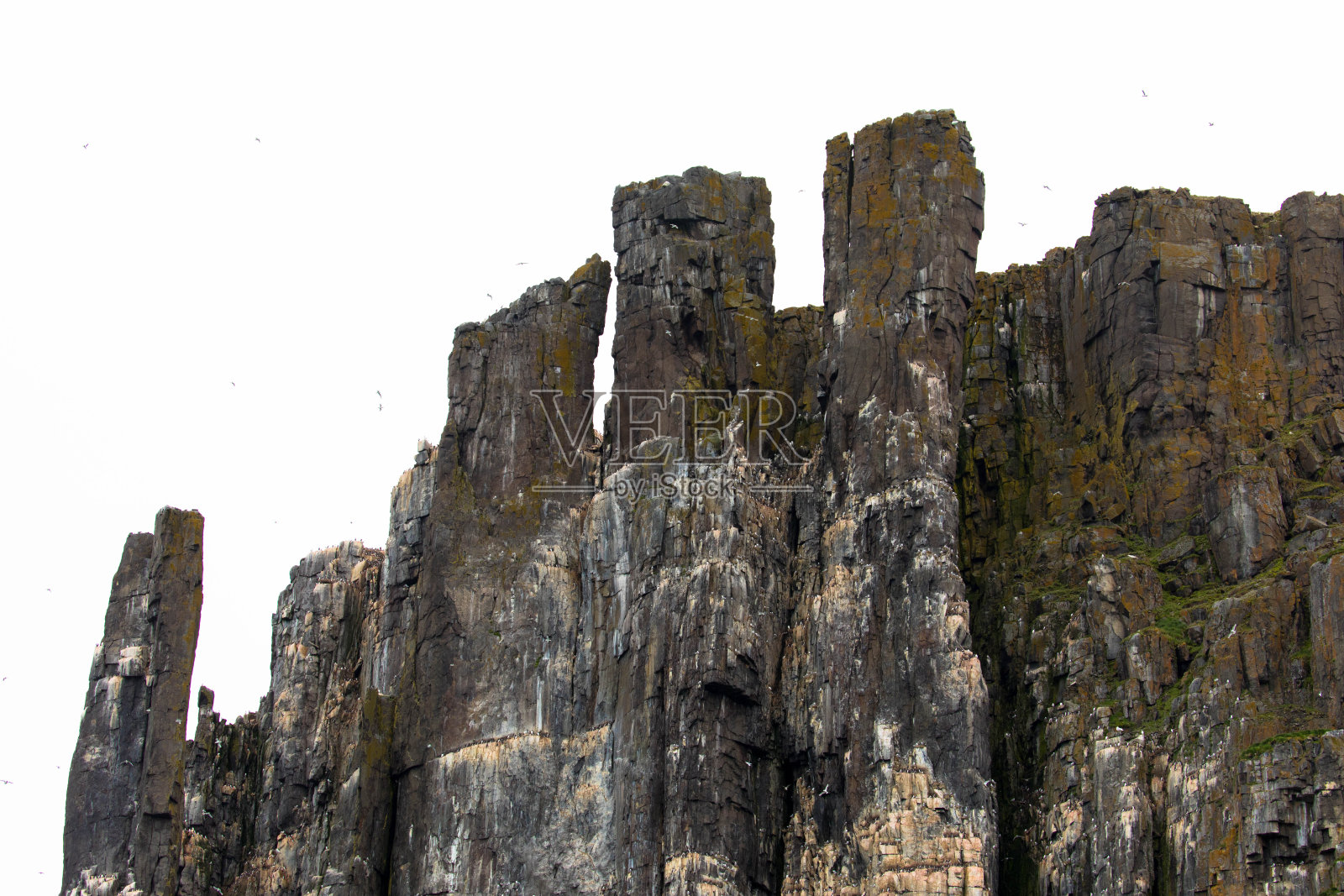 奇异的岩层：斯瓦尔巴群岛上最大、最壮观的鸟类悬崖之一照片摄影图片