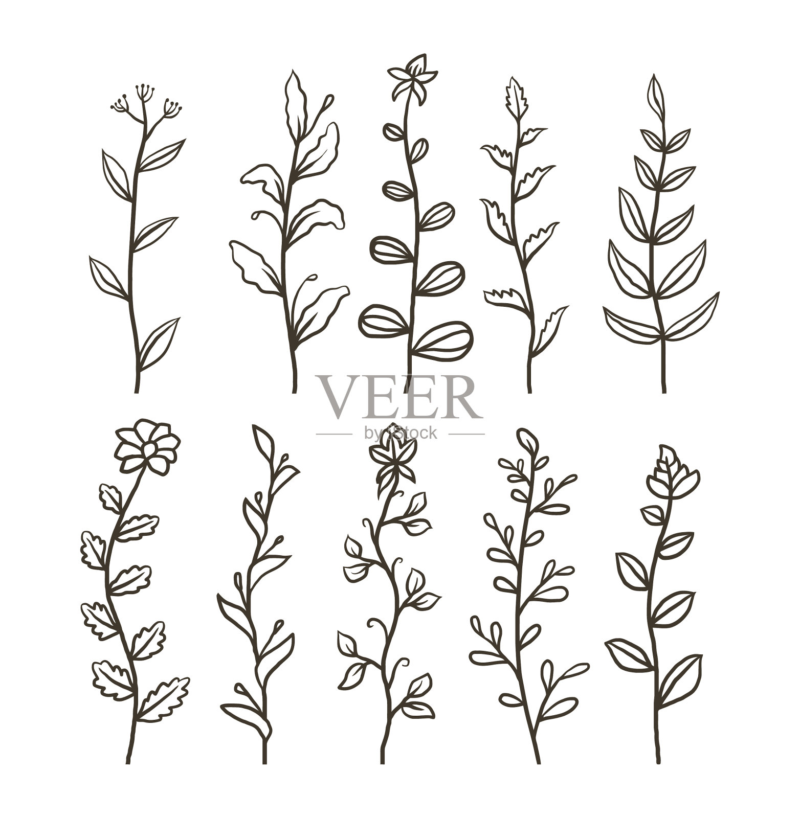 的花插画图片素材