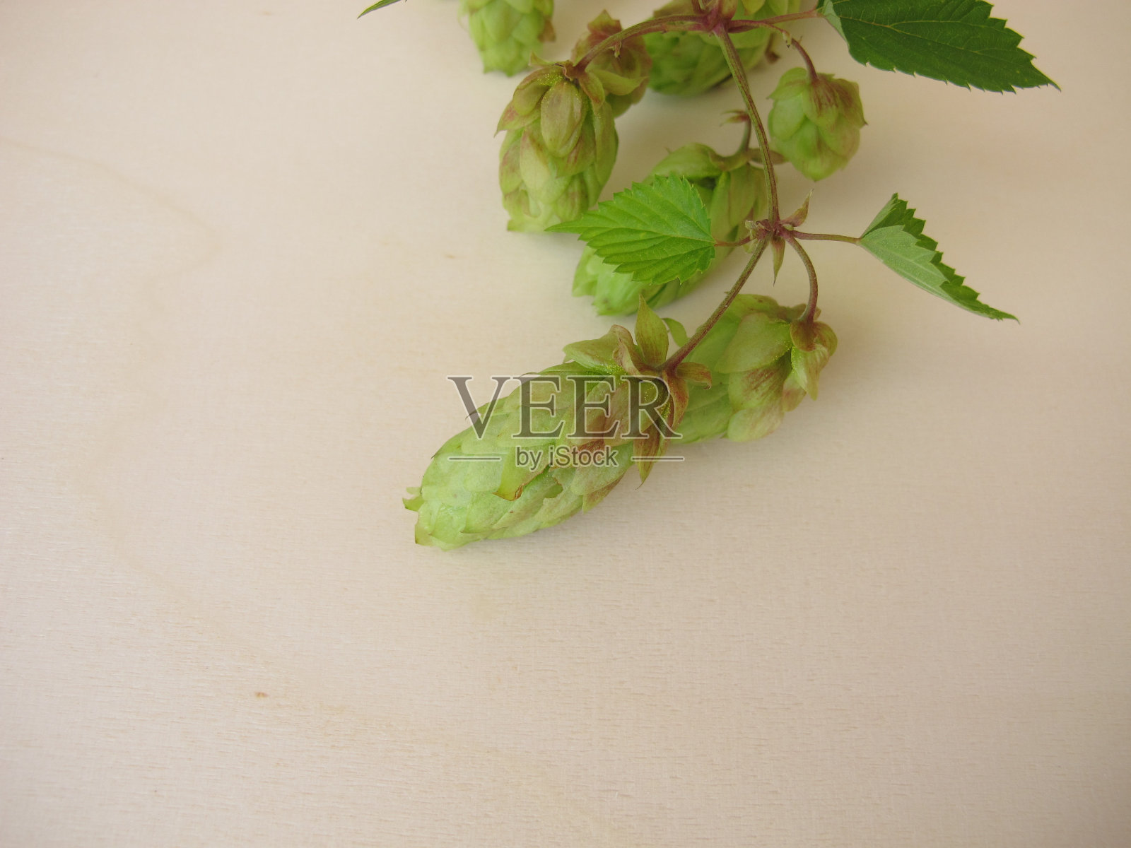 在木板上跳花照片摄影图片