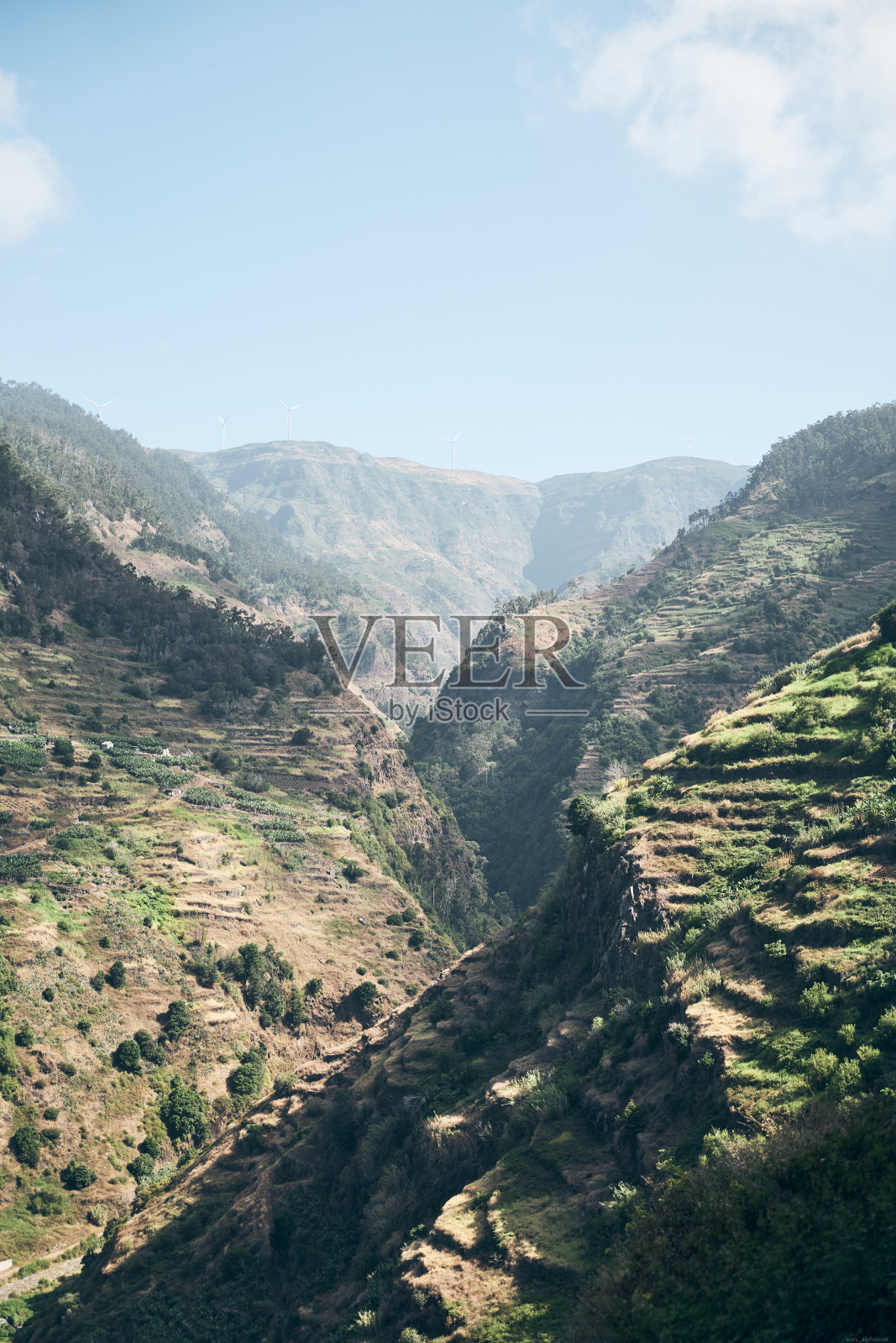 马德拉徒步旅行澳大利亚照片摄影图片
